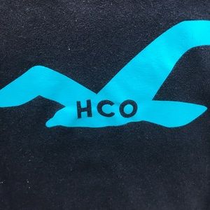 Hollister men’s T-Shirt size Large 100% soft Cotton. Navy Blue, lgt blue seagull
